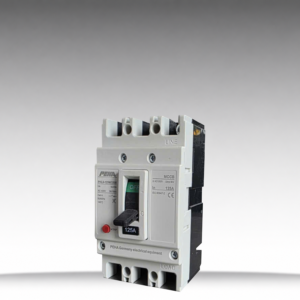 Aptomat khối PEHA PHLD - 125M - 3 Pha - 125A - MCCB